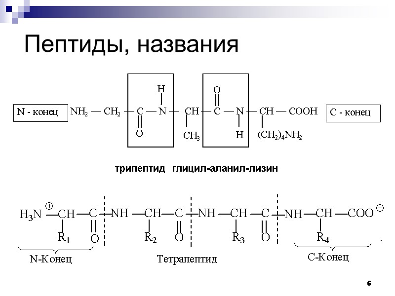 6 Пептиды, названия трипептид  глицил-аланил-лизин